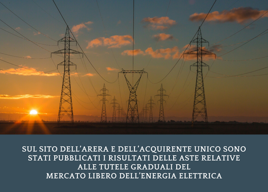 pubblicazione aste energia elettrica.png